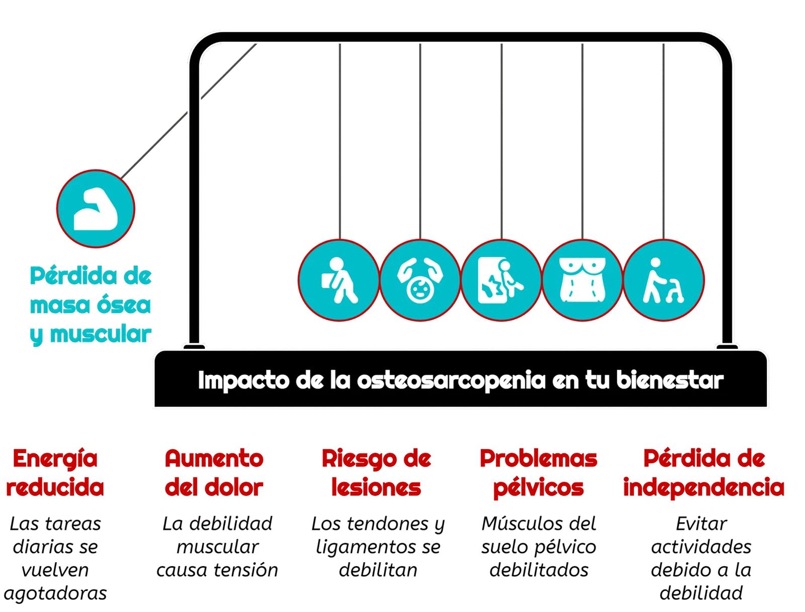 Efectos osteosarcopenia