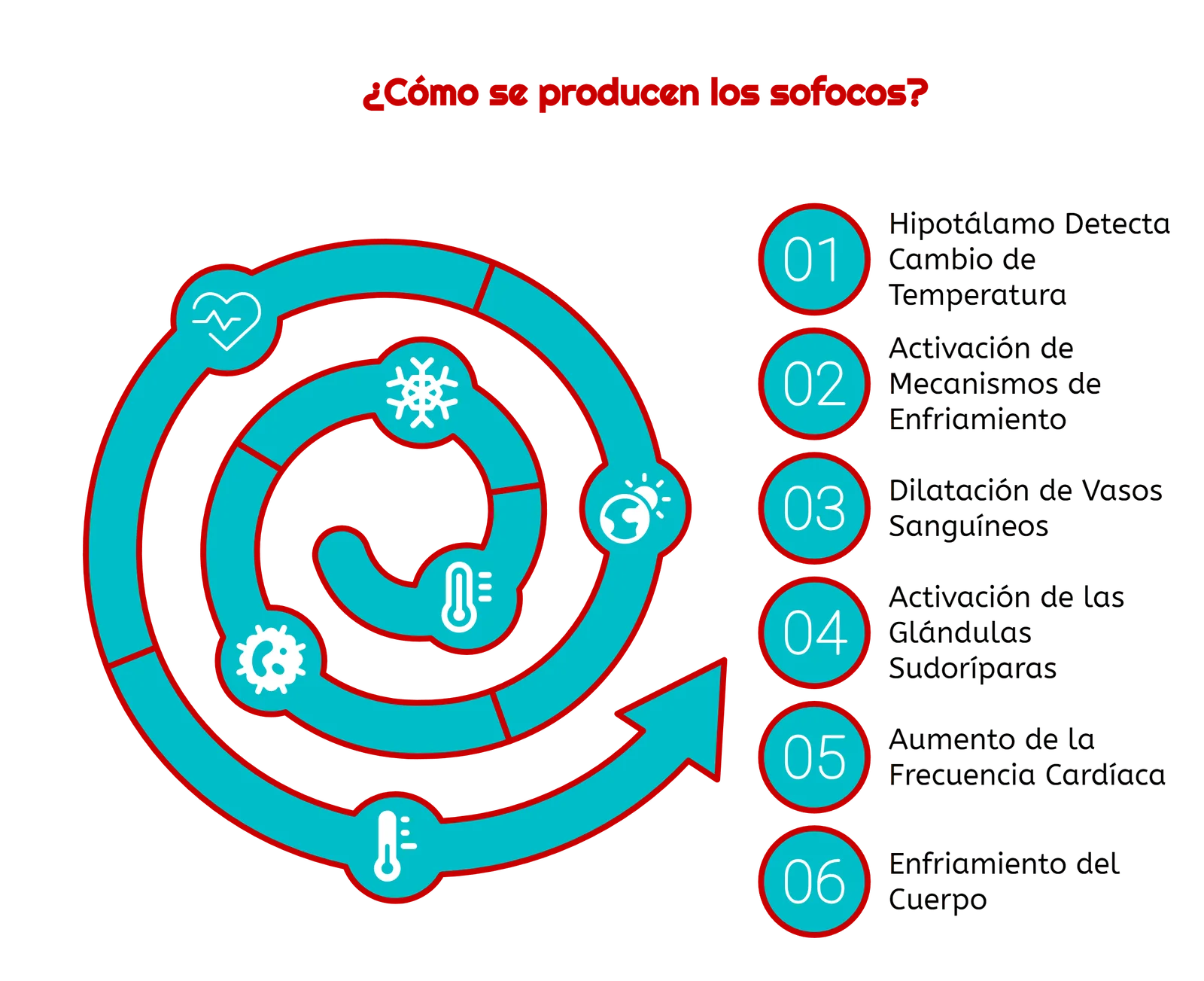 proceso de aparición de sofocos